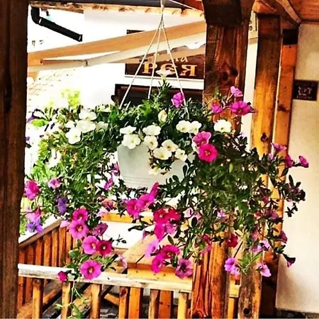 Tatil Evi рея