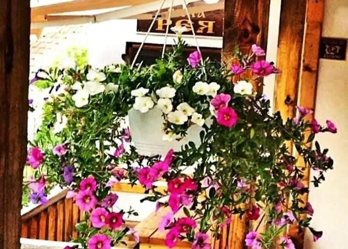 Dom wakacyjny рея